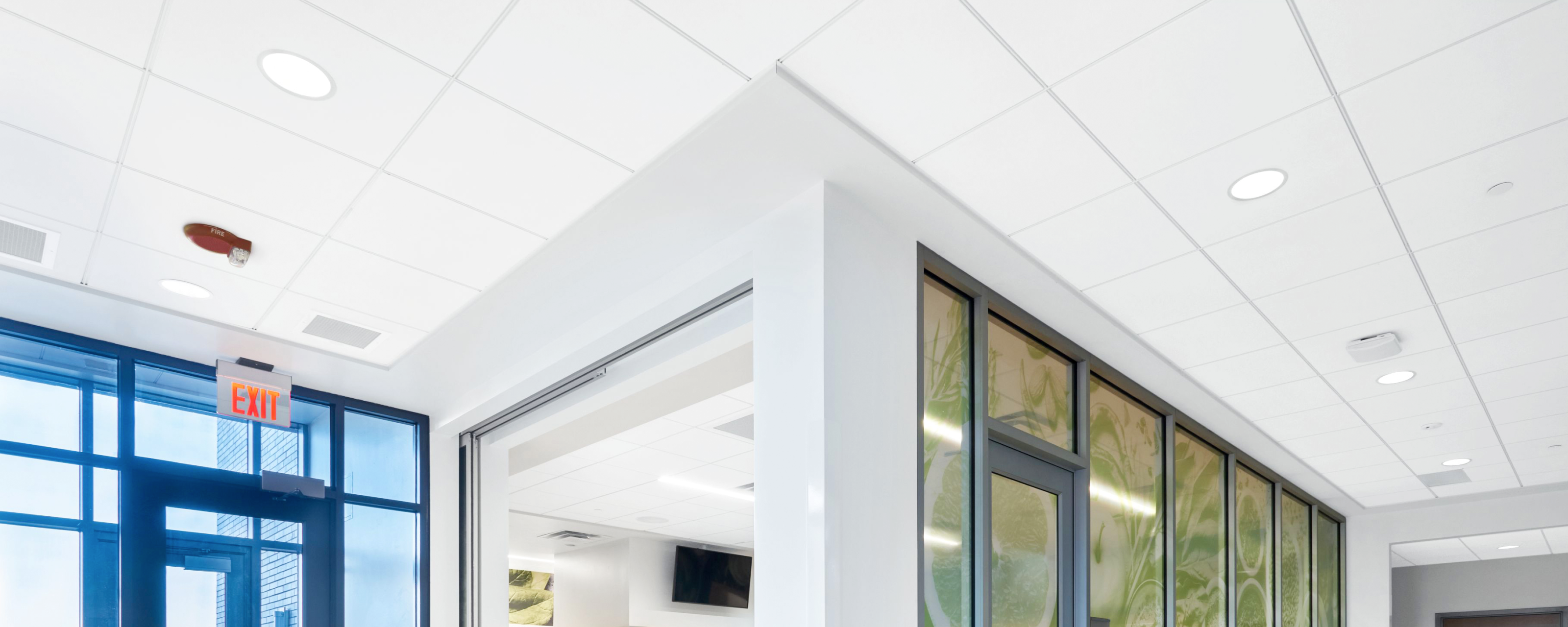 Ceiling tile replacement costs in commercial buildings