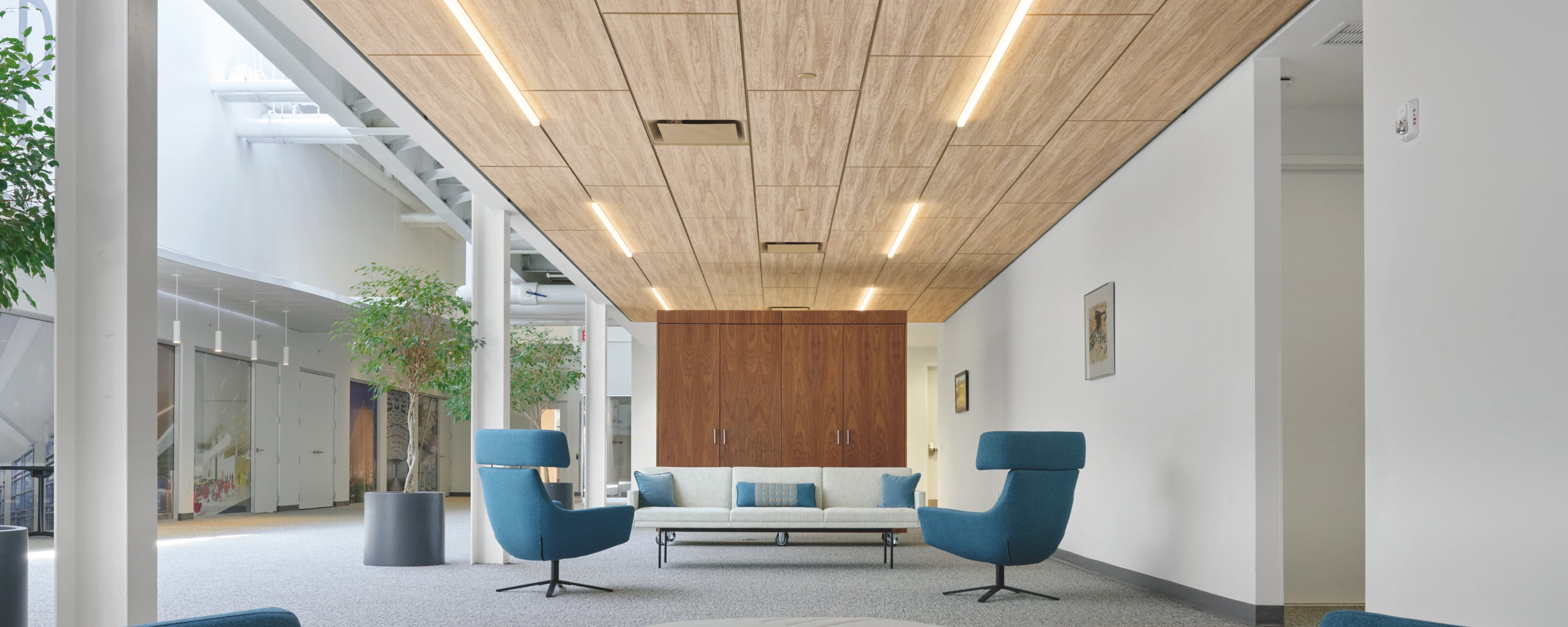 4 Specialty Commercial Ceiling Renovation Ideas