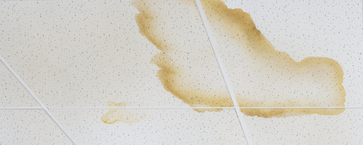 Water Stains On Ceiling: Here's How To Fix Water Damage On Ceilings ...