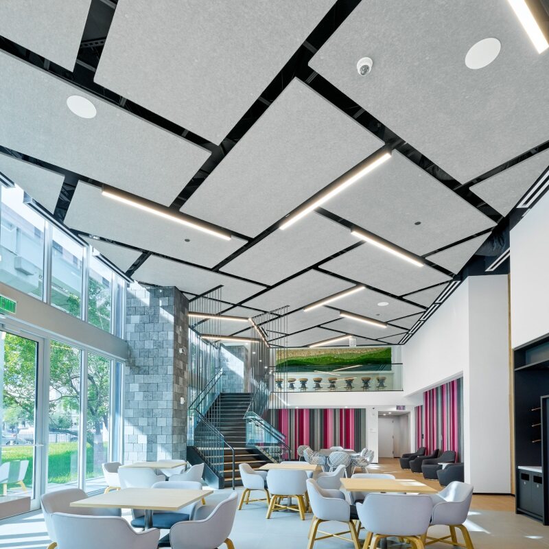 Pannels Ceiling Acoustic Ceiling Panels For Lofts: Stunning Pictures & Details ...