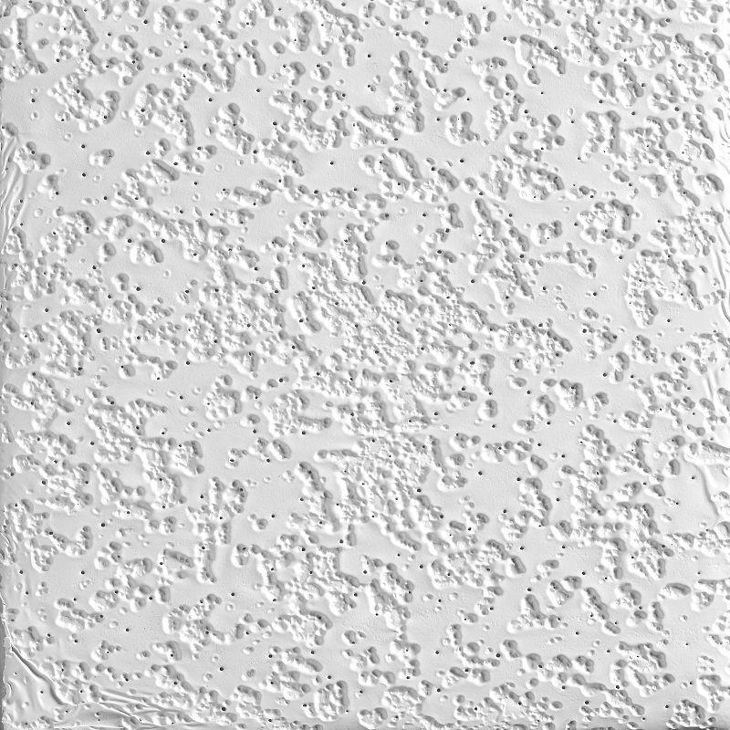 Buy RANDOM FISSURED Ceiling Tiles - 2910 | Kanopi by Armstrong Ceilings