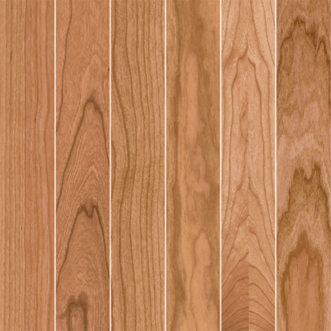 WOODWORKS Vector