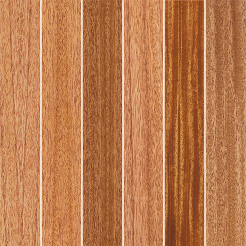 WOODWORKS Vector