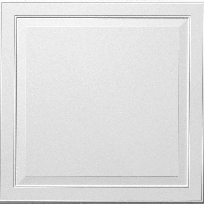 Single Raised Panel Sample – Kanopi by Armstrong