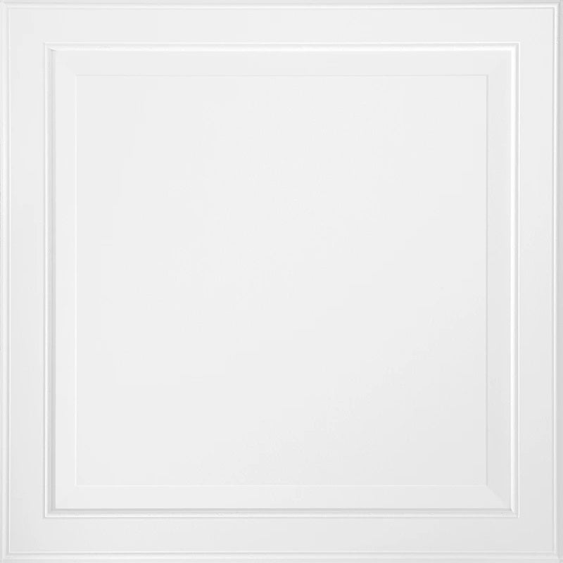 Single Raised Panel Sample – Kanopi by Armstrong