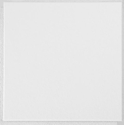 12" x 12" Plaster Collection Sample Bundle