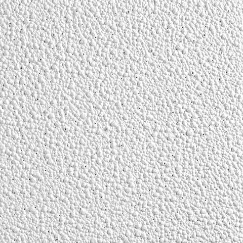 PEBBLE